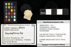 Foto (Objekt + Etiketten) von Goniodromites sp. 
